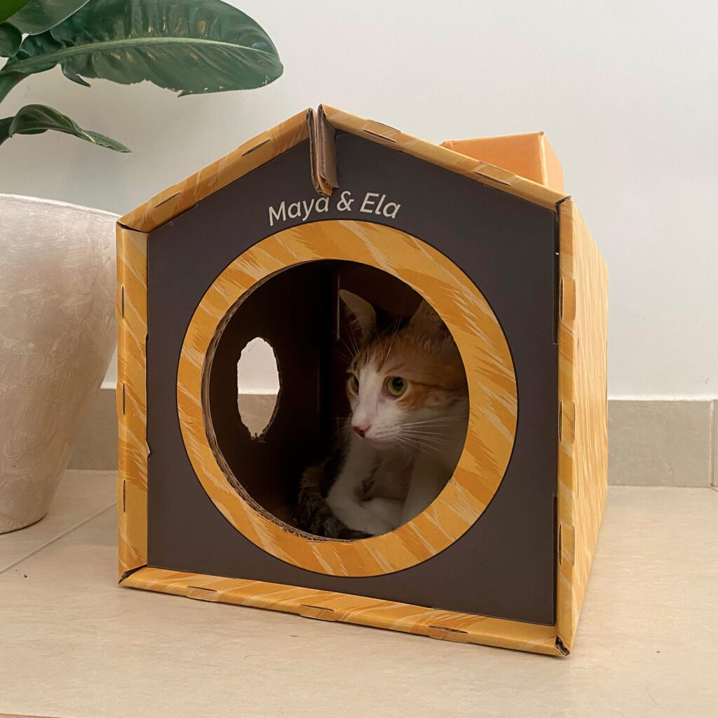 Landing-Casa Maya 6 casa personalizada para gatos