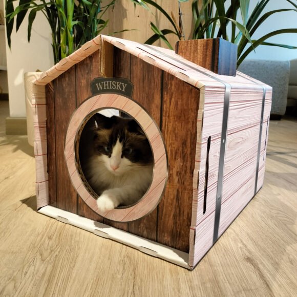 a cat inside a small wooden house