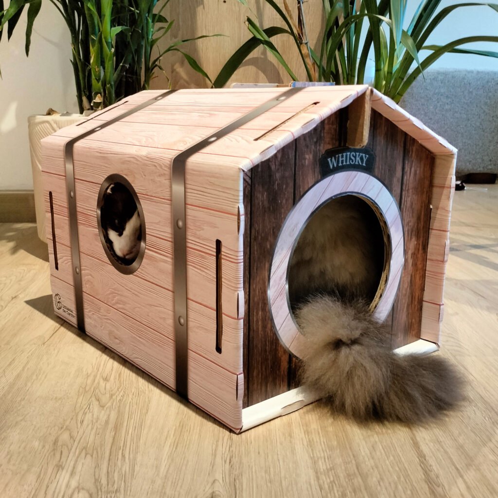 Landing-Casa Maya 4 casita para gatos