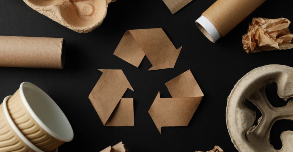 reciclaje de cartón